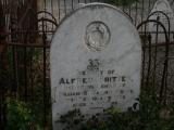 image number 2 Alfred Britten Goode